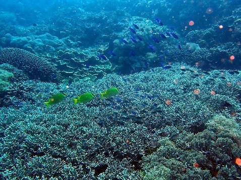 d0363174_21311435.jpg
