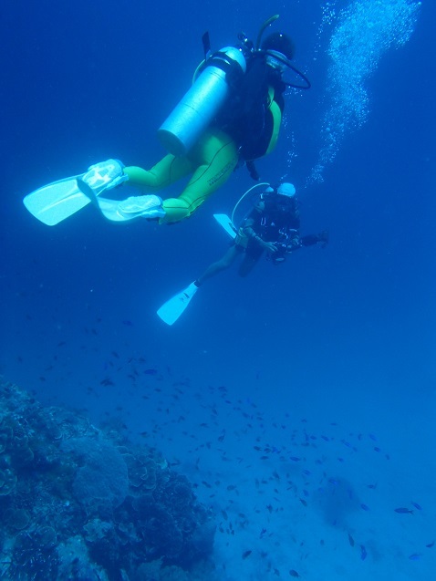 d0363174_21312373.jpg