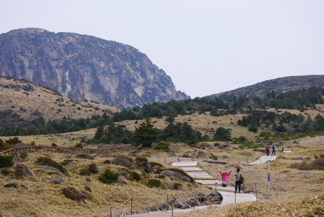 済州島　ハルラ山登山_b0358575_06060254.jpg