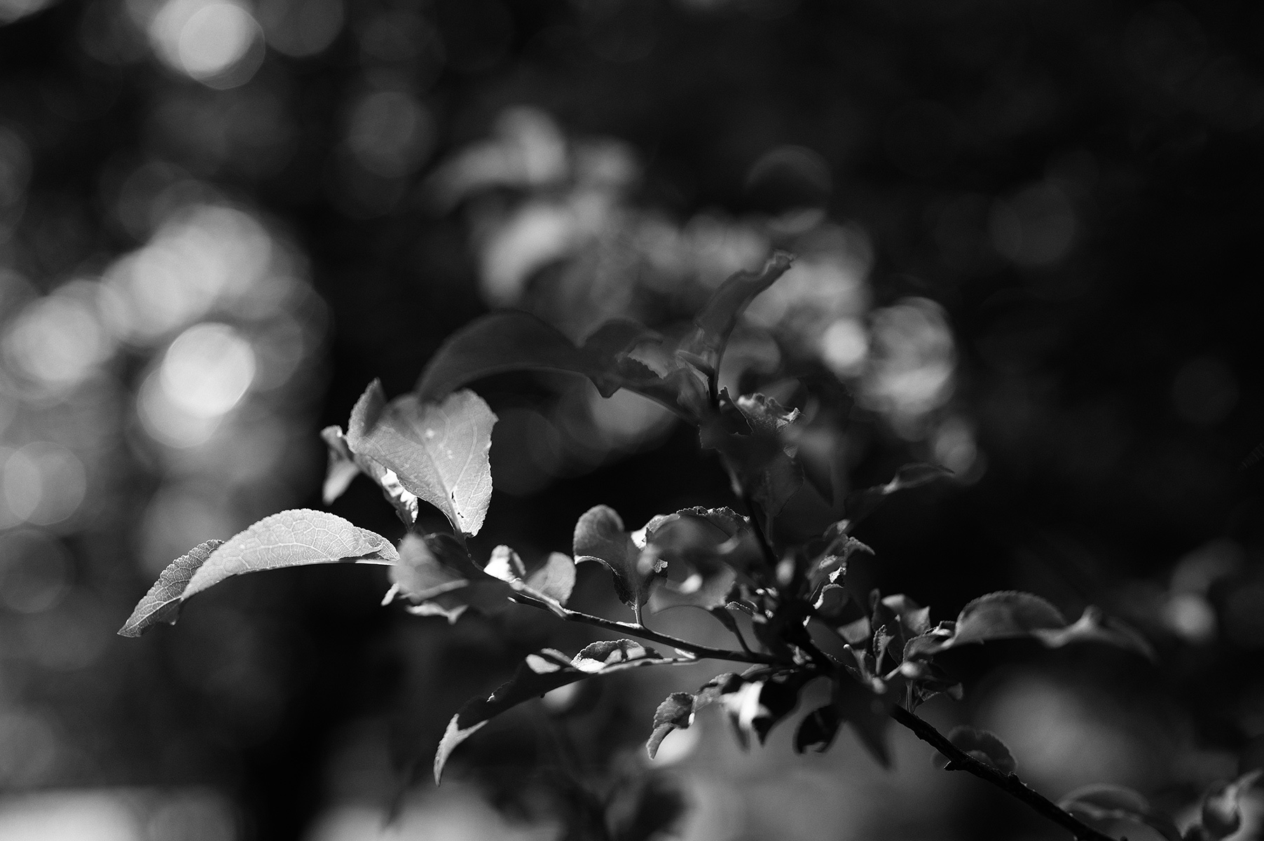 f0121181_02150170.jpg