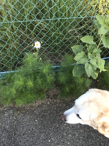 f0315081_21543628.jpeg