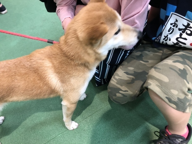 b0377882_14034400.jpeg