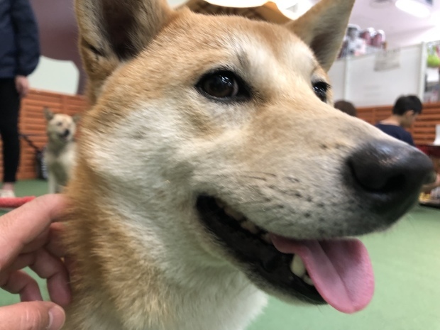 b0377882_14040179.jpeg