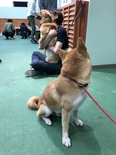 b0377882_14045709.jpeg