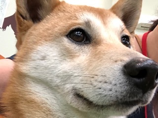 b0377882_14352031.jpg