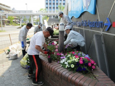 ガーデンふ頭総合案内所前花壇の植替えR1.5.13_d0338682_09492006.jpg