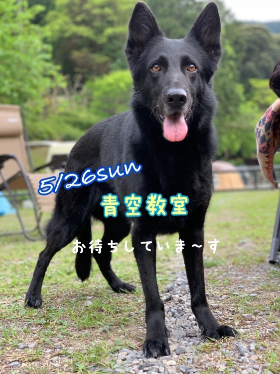 5月26日(日)の青空教室_e0100584_13353757.jpeg