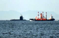 b0192588_8235386.jpg