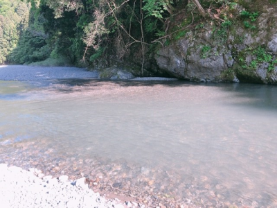a0113889_16083922.png