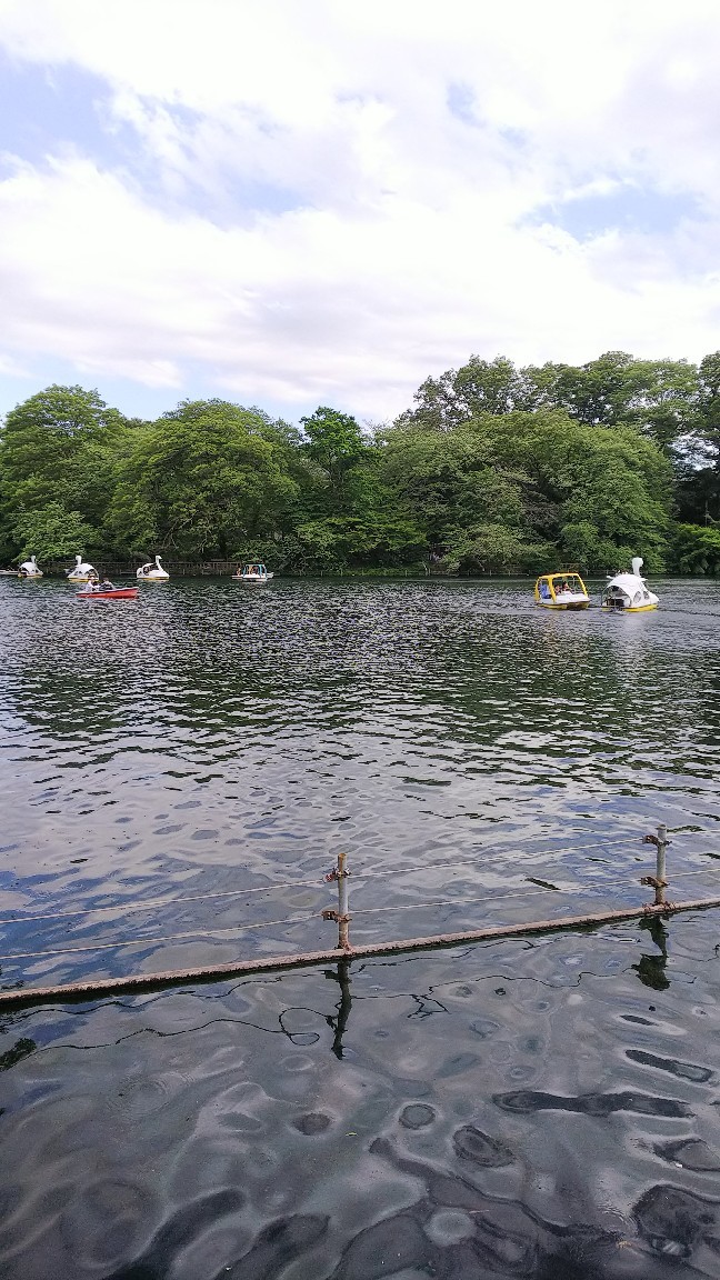 c0191390_17194886.jpg