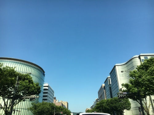 連休1日目の昨日_f0347891_01482262.jpeg