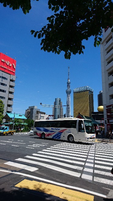 初めての飛行機出張_b0400795_19393165.jpg