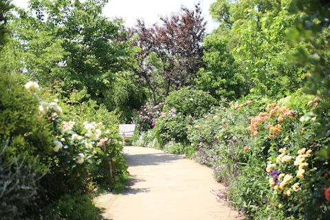 c0090198_20100279.jpg
