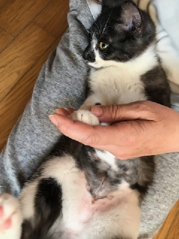 つくしちゃんも治療が終わり、そして!!_f0242002_17502310.jpg
