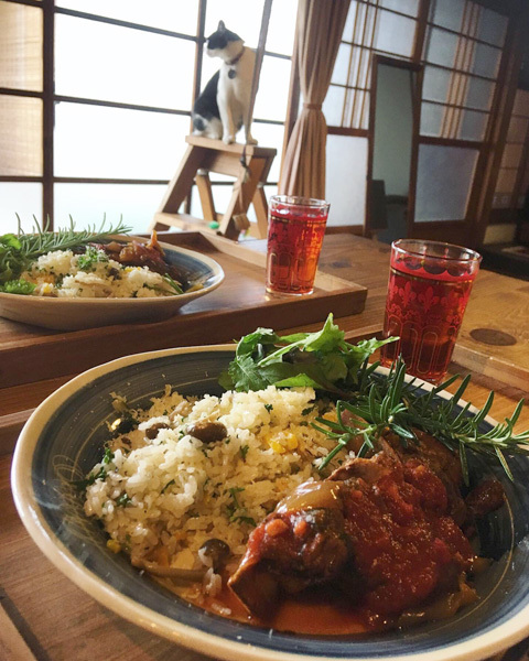 おもてなしランチ。_d0077603_17340515.jpg