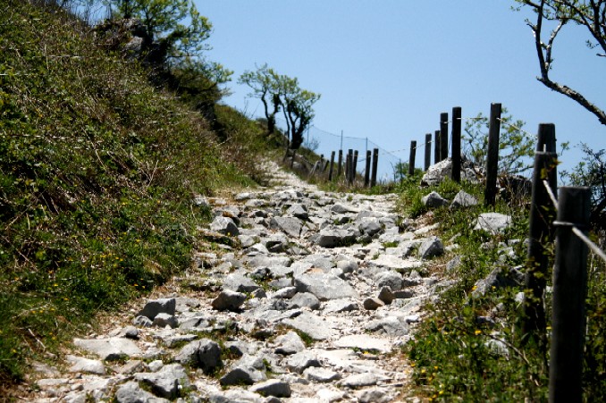 d0140806_1057421.jpg