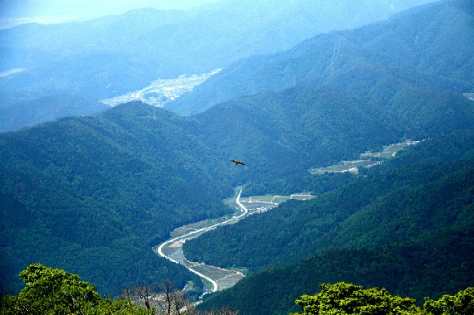 d0140806_112378.jpg