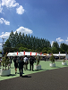 第62回日本糖尿病学会年次学術集会_e0317808_08403454.png