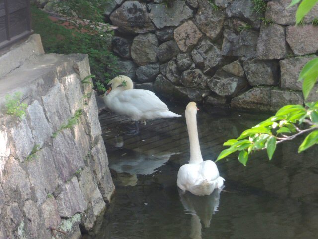 f0373109_06481524.jpg