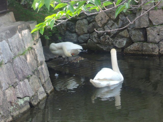 f0373109_06484537.jpg