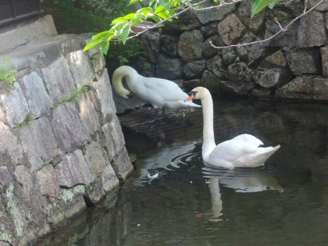f0373109_06490863.jpg