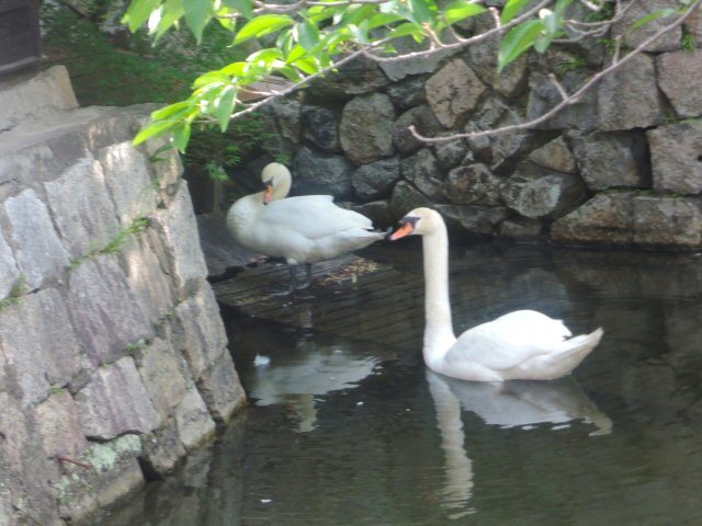 f0373109_06493935.jpg