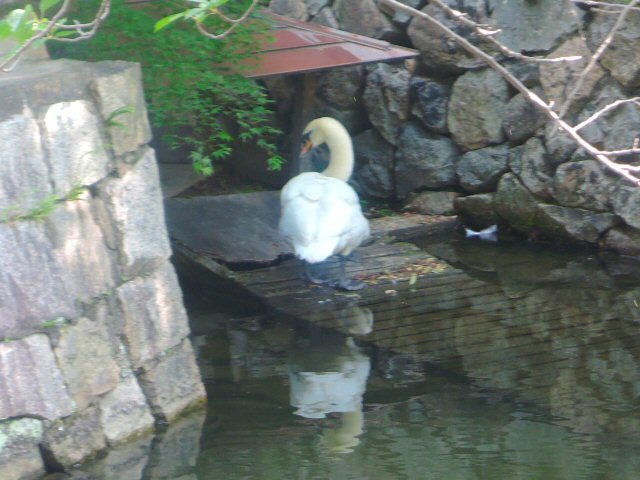 f0373109_06500046.jpg