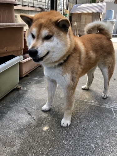 真夏日_d0184114_08420533.jpeg