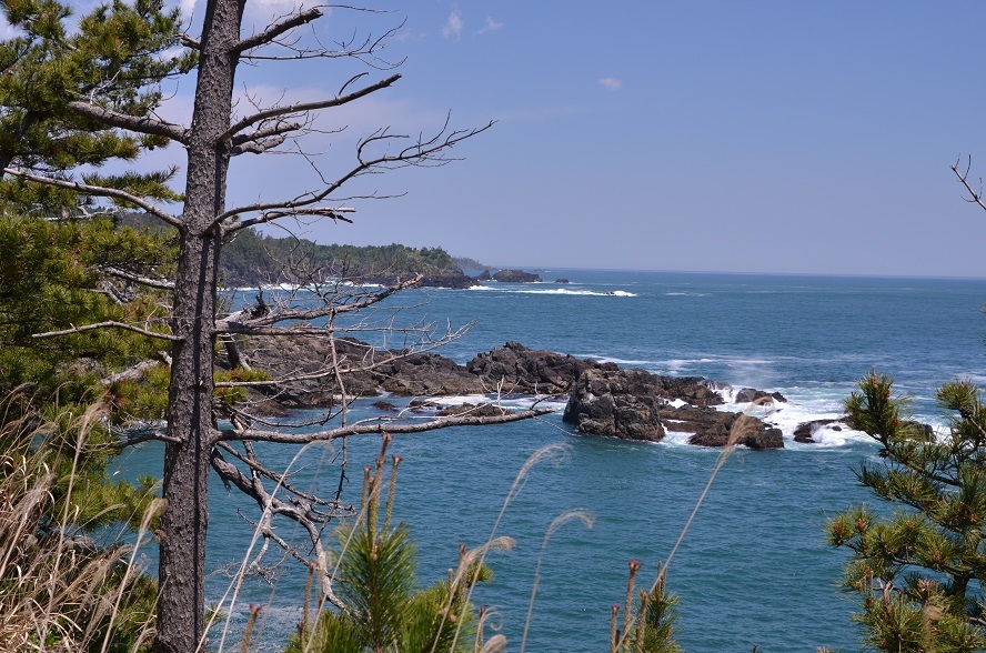 e0349817_14290285.jpg