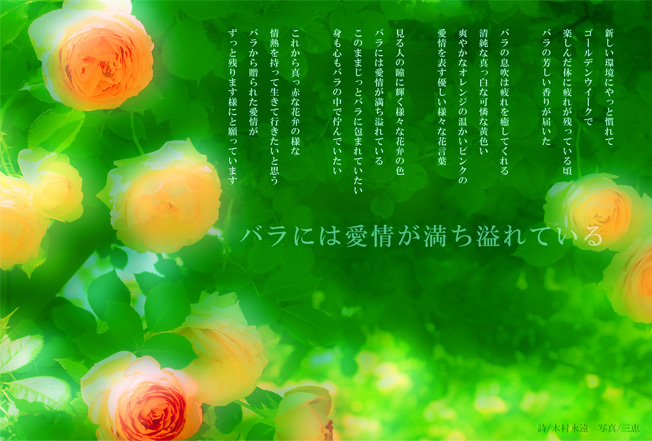 バラには愛情が満ち溢れている Miemie Art ココロの景色 バラには愛情が満ち溢れている Miemie Art ココロの景色
