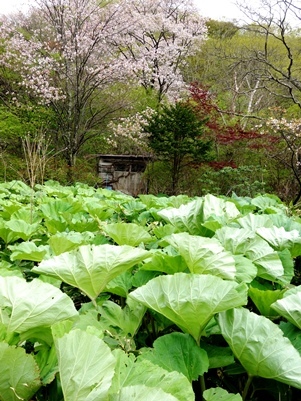c0204725_00412188.jpg