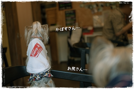 d0179828_11182247.png
