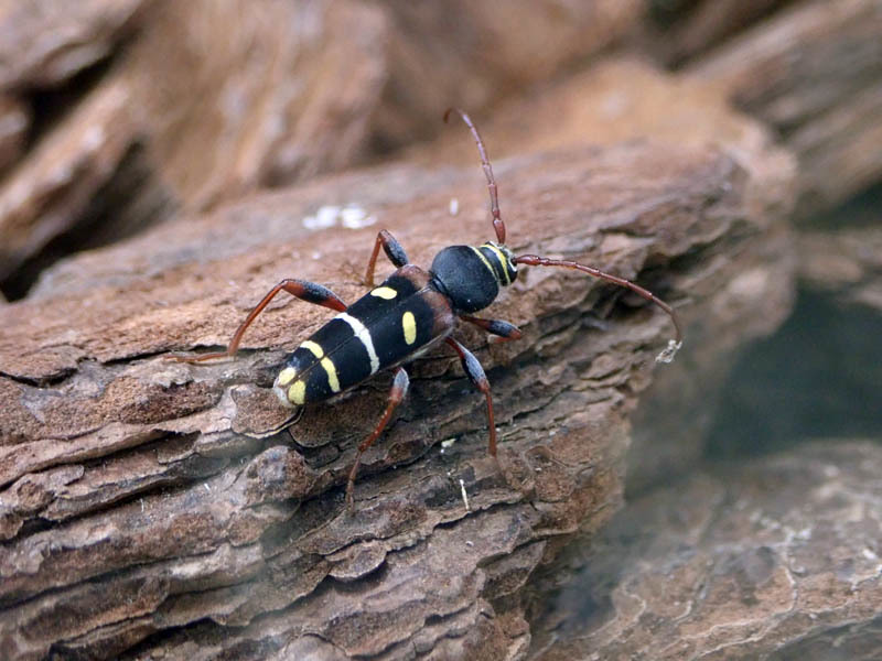 f0177529_23293090.jpg