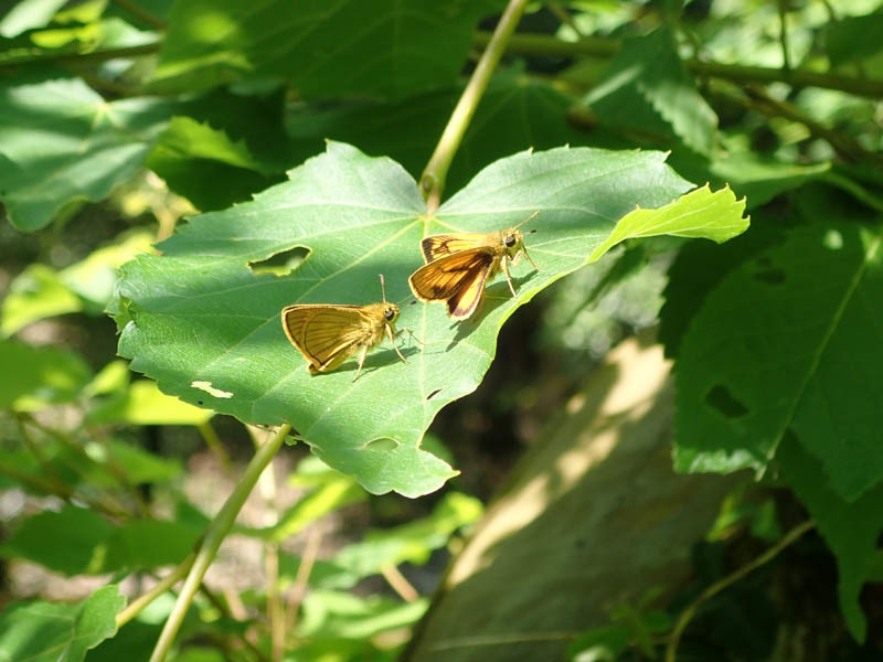 f0177529_23310816.jpg