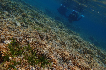 19.5.25 極浅場で_b0100730_20152227.jpg