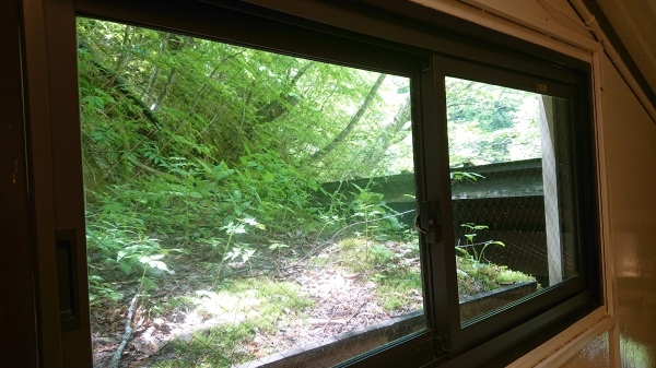涼しい~&清々し~い!_c0213830_12054894.jpg
