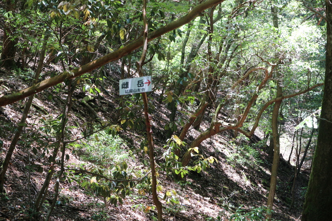 今季お初のササユリは行縢山で!_e0272335_58823.jpg