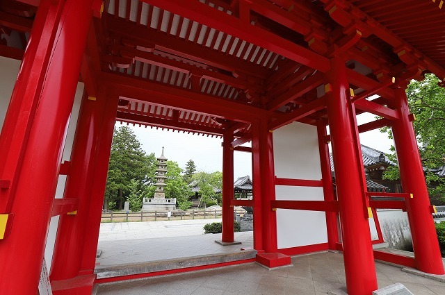 a0242438_20392504.jpg