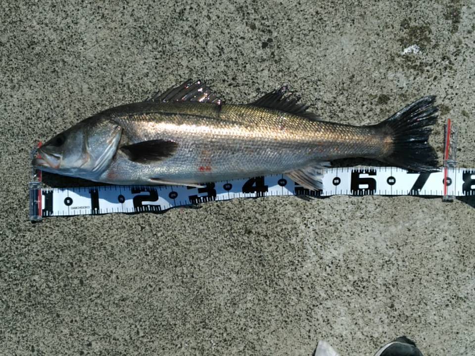 _b0128238_10065565.jpg