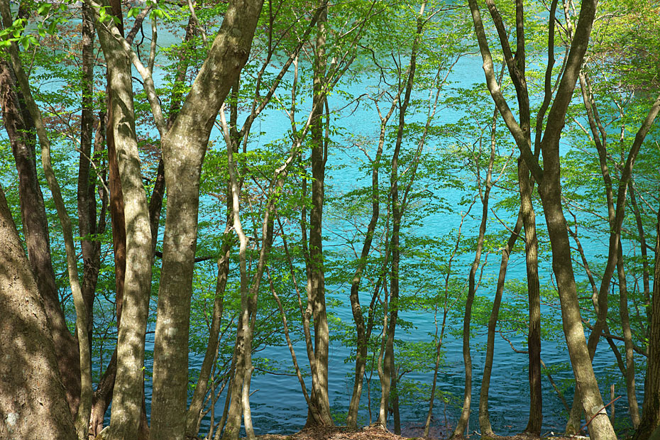 c0067040_23363176.jpg