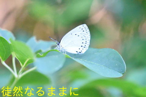 d0285540_09372965.jpg
