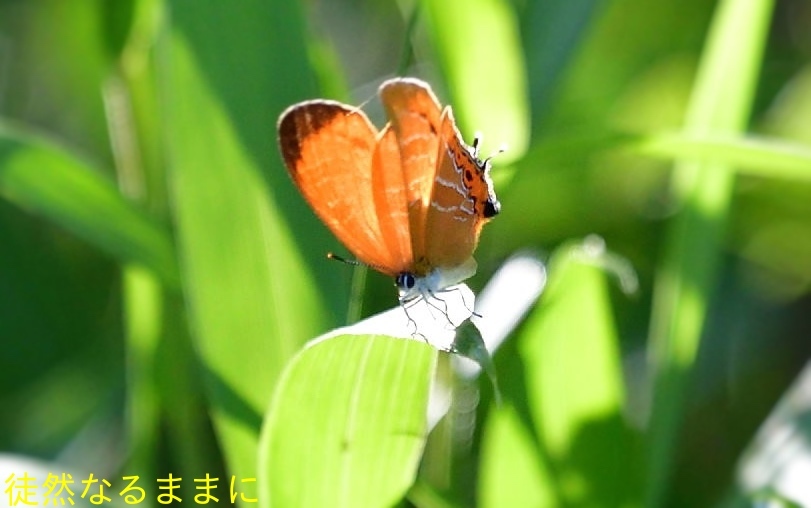 d0285540_09383491.jpg