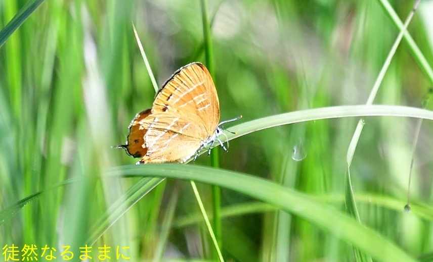 d0285540_09390830.jpg