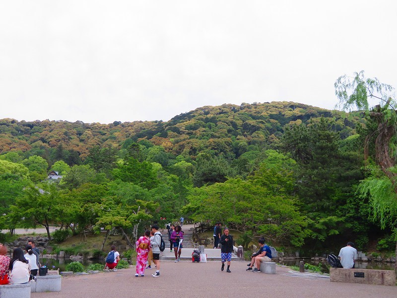e0237645_16333901.jpg
