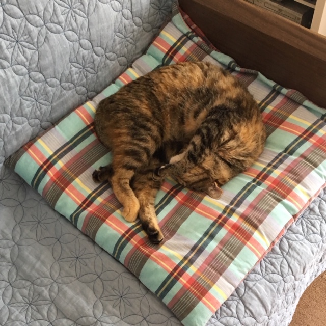 f0372445_07380836.jpeg
