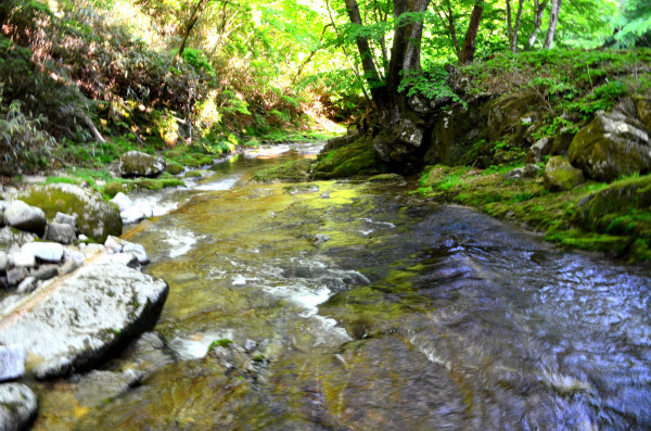 d0283357_18474819.jpg
