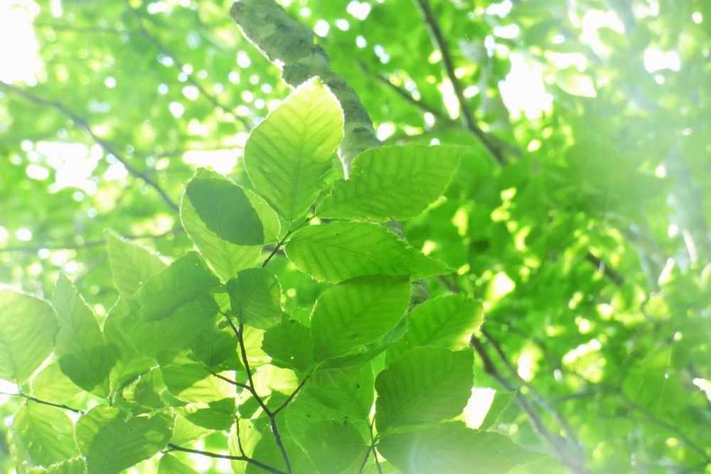 c0294658_22010643.jpg