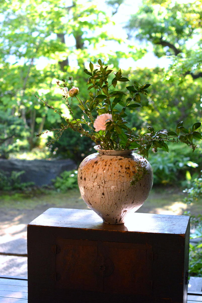 「山田隆太郎展 令和の薪窯」始まりました_d0087761_18331194.jpg