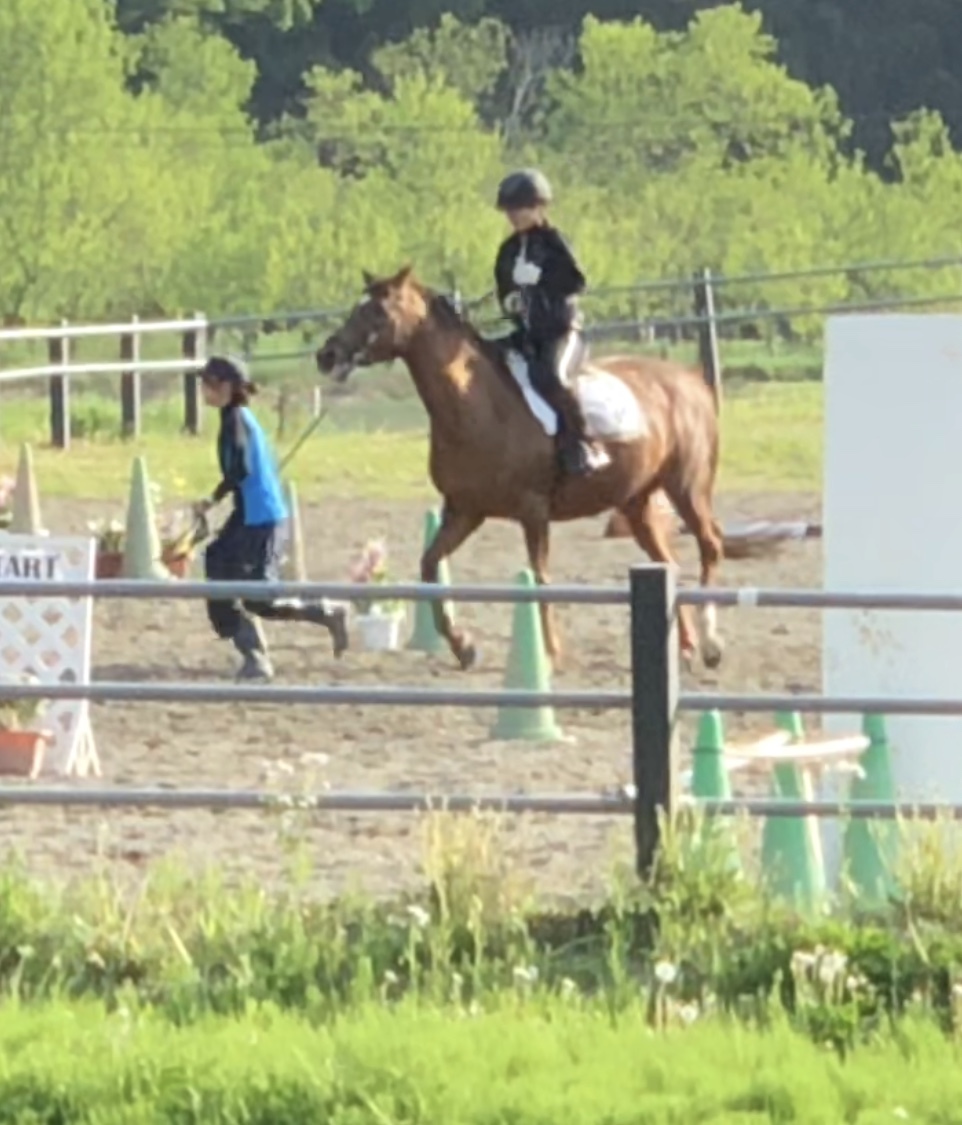 b0166569_21110524.jpeg