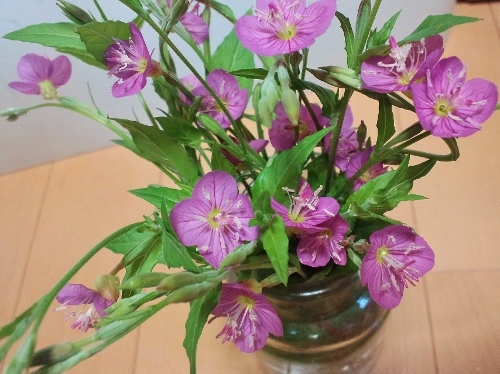 f0367170_05274370.jpg